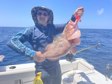 Boca Ciega Bay Report Photo 4