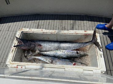 Pompano Beach Report Photo 2