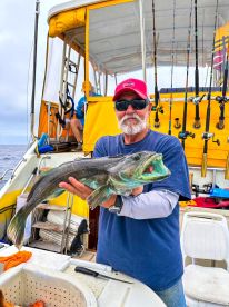 Whale of a good time on the Fish Taxi