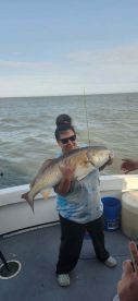 Norfolk Report Photo 1