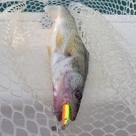 Lakeside Marblehead Report Photo 1