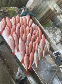 May 31st Fishing Report