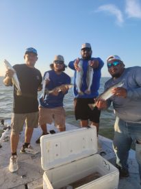 Corpus Christi Report Photo 1