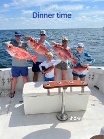 Snapper season is here 