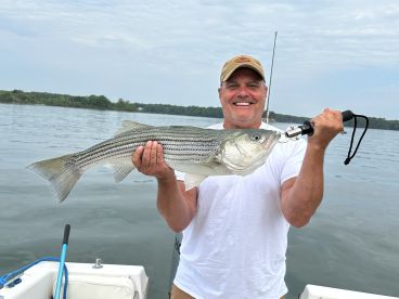 STRIPERS ARE IN MAINE!!