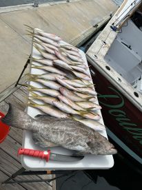 Stock Island Report Photo 1