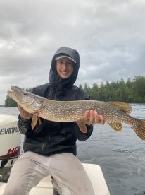 Toothy Season