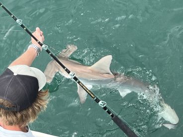 Manteo Report Photo 1
