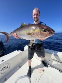 Amberjack