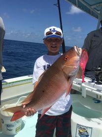 Offshore Bite