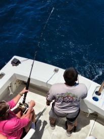 San Jose del Cabo Report Photo 1