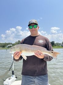 Beaufort Report Photo 2