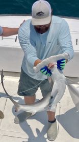 Nags Head Report Photo 1
