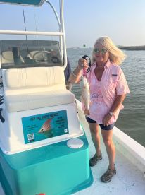 Top 5 reasons to choose an licensed and 