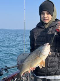 Buffalo Report Photo 1