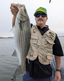 Cumming Report Photo 2