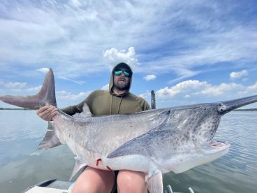 ‼️BIG FISH ALERT‼️