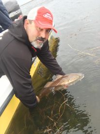 New Orleans Report Photo 2