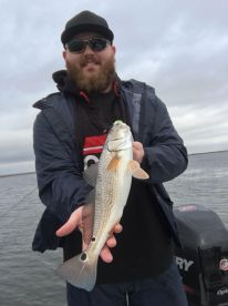 New Orleans Report Photo 1