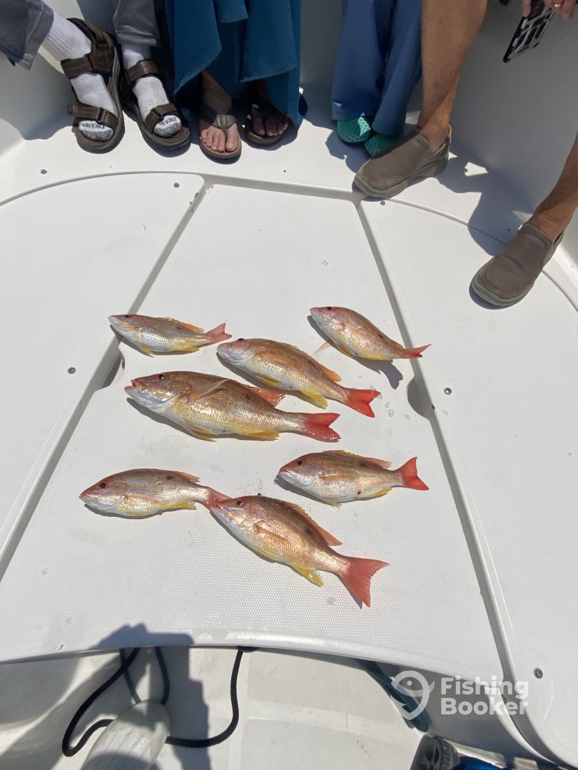 Port Orange Report Photo 0