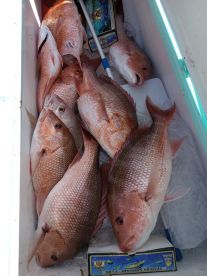 Destin Report Photo 2