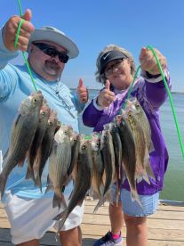 Grapevine Report Photo 1