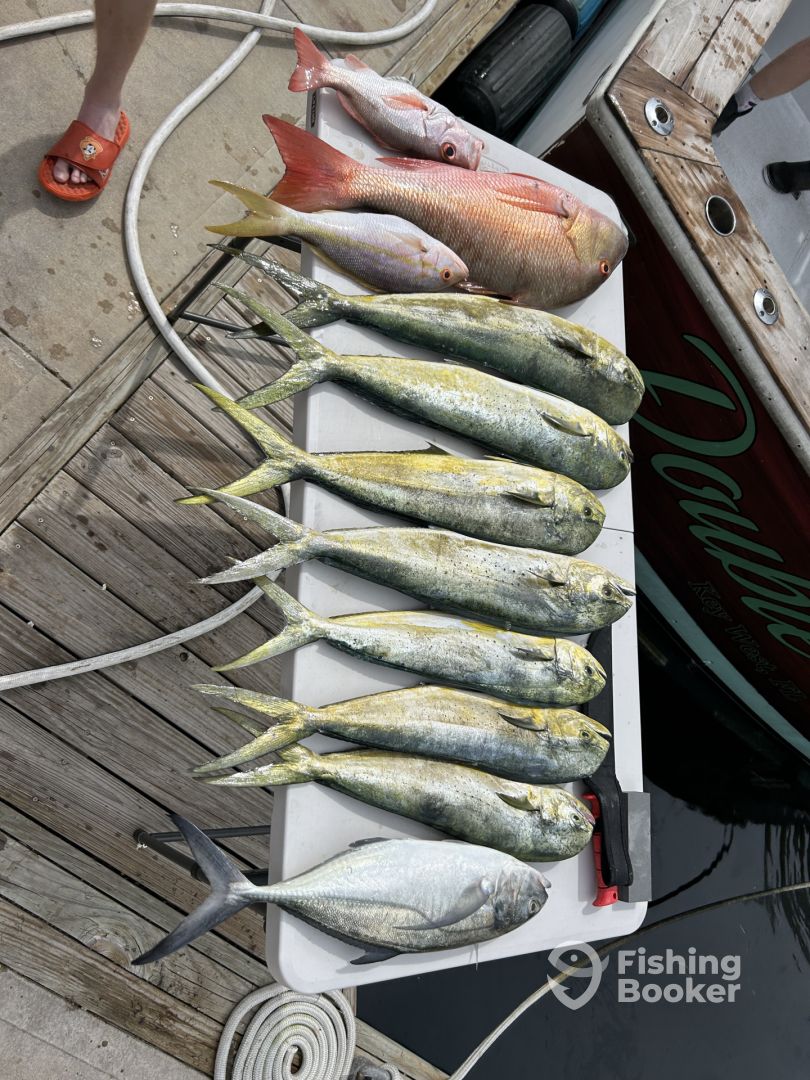 Stock Island Report Photo 0