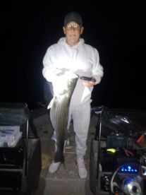 Willow beach Arizona trophy striped bass