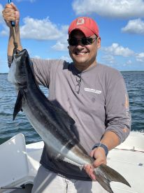 Cobia