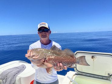 healthy red grouper