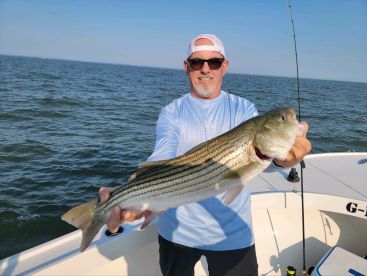 Chesapeake Beach Report Photo 1