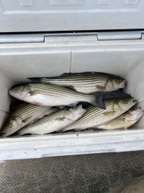 Sand Springs Report Photo 1