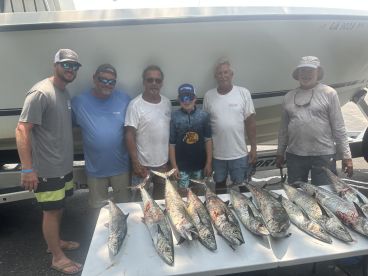 Great King Action Today