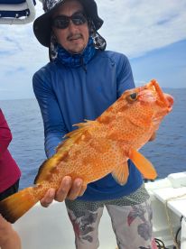 Roatan Report Photo 1