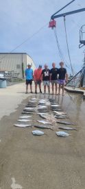 46 Spanish Mackerel and 2 Moon fish