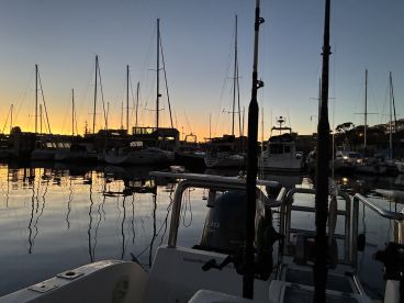 Fantastic fishing today in the Bay! 