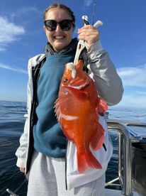 False Bay Report Photo 4