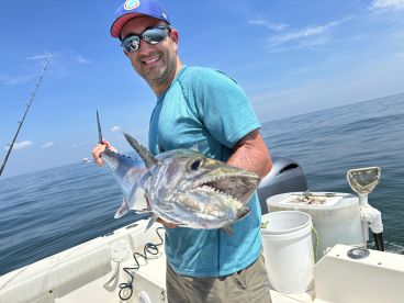 Hilton Head Island Report Photo 1