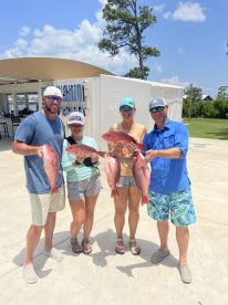 Red Snapper