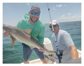 All day action near shore just off the b