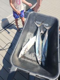 St. Augustine Report Photo 1