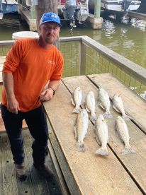 Galveston Report Photo 1