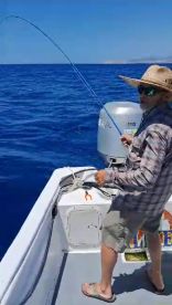 San Jose del Cabo Report Photo 1