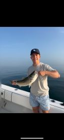 Chatham Report Photo 1