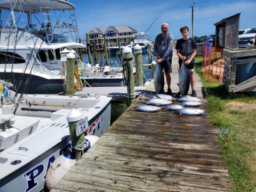 Nice size yellowfins!
