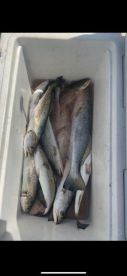 Rockport Report Photo 1