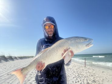 Pullin in BEACH BEAST! 