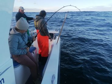 A perfect day out at sea ! 