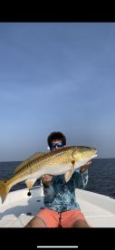 Bull Red Action