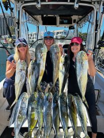 Mahi mahi